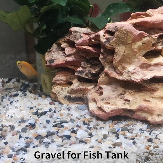 FANTIAN 5 lbs Natural Mixed Color Gravel Pebbles, 3/8 Inch Decorative Succulent Rocks Pebbles for Plants, Stones for Vase, Landscaping and Outdoor Garden Decorative River Rock