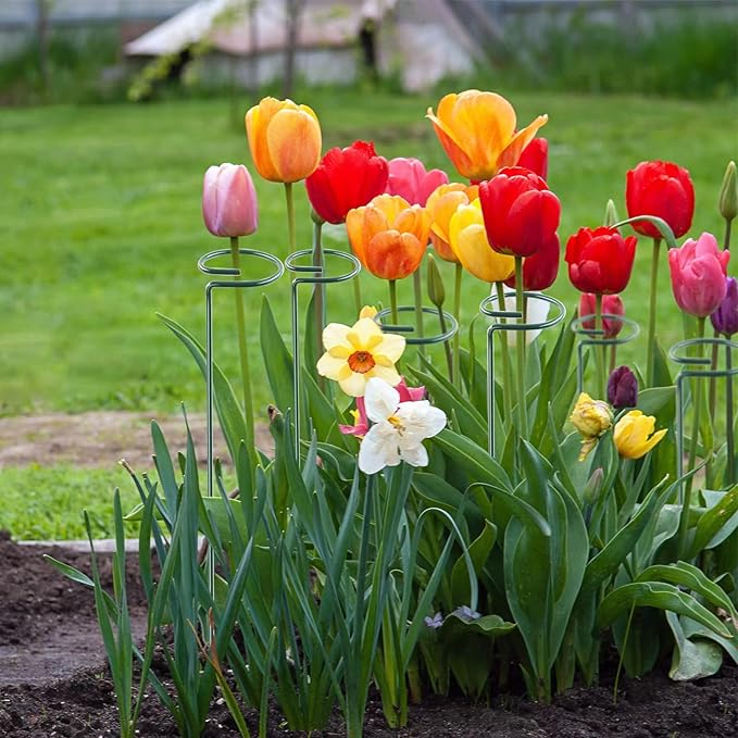 Thealyn 12 Pack 16 Inch Plant Support Stakes, Metal Single stemmed Flower Support Hoops,Garden Plant Stakes Plant Prop for Amaryllis Orchid Lily Rose Peony Tomatoes Gladiolus