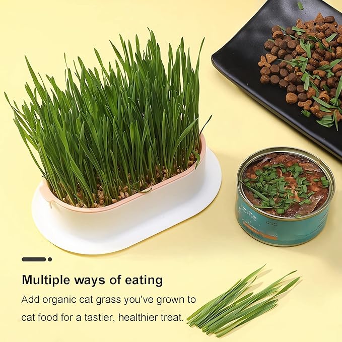 2Pcs Cat Grass Planter (No Seeds Included) Wheatgrass Planting Trays Hydroponic Cat Grass Growing Kits for Indoor Cats Soilless Organic Nursery Box Pet Grass Pot (D)