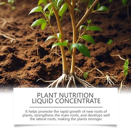 Plant Food for Houseplants - Indoor Plant Fertilizer, Growth Tonic | 120ml Natural Liquid Formula for Greenery Roots Hydroponic Garden Soil Booster Leaf Shine Care Herb Shrubs Blossom Support