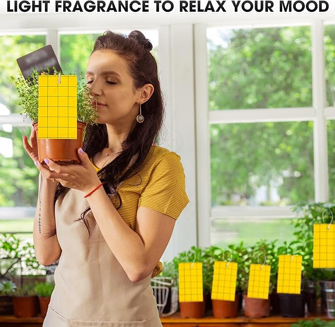 Qualirey 100 Pcs Sticky Trap for Gnats Dual Side Sticky Fruit Fly Trap with Tie Plant for Flying Insect Fungus Bugs Flying Catcher for Indoor (6'' X 8'')