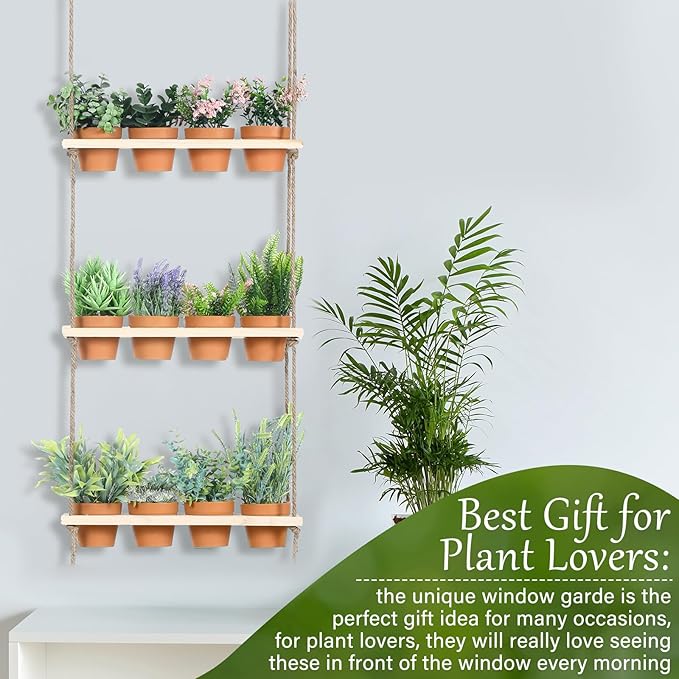 FillTouch 3 Tiered Hanging Herb Planters Hanging Herb Garden Wall with 12 Pcs Nursery Pot Wood Vertical Window Plant Shelf with Holes and Rope Plastic Flower Pots Spring Garden Indoor Kitchen
