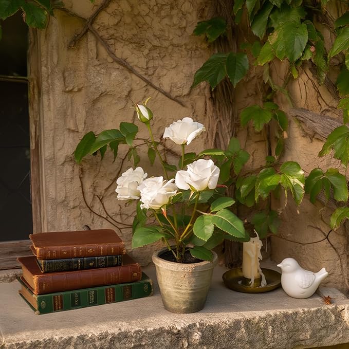 Rose in Pot Decor Potted Artificial Flowers Mini Plants Faux Flowers Indoor Small Decor Fake Roses for Home, Bathroom, Kitchen, Offices, Wedding Party Centerpieces (Rose White)