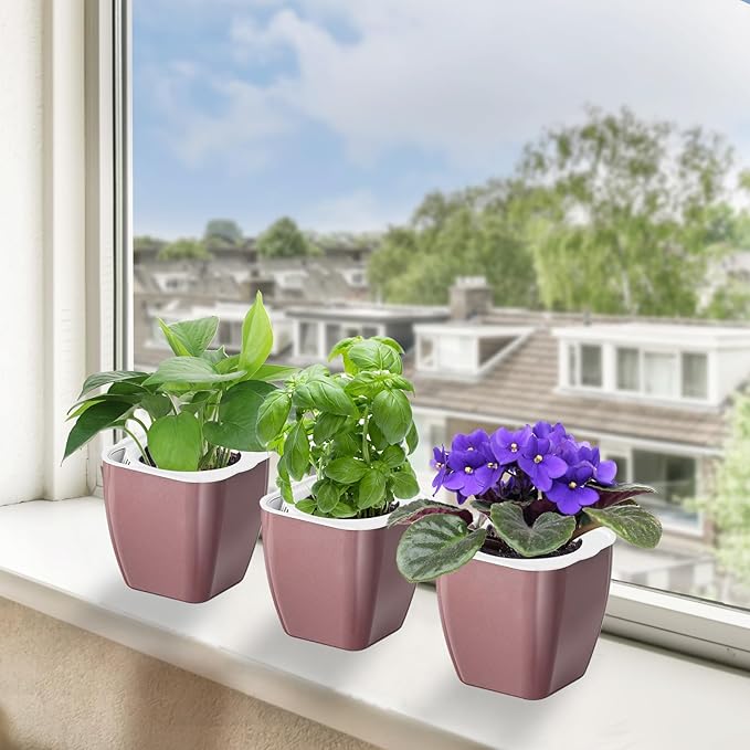 Oliz 8 Pack Self Watering Pots 4-inch Decorative Flower Planters for Indoor Plants Modern Square planters for Small Plants Window Sill Planters for Succulents, African Violets, Herbs(Rose Gold)