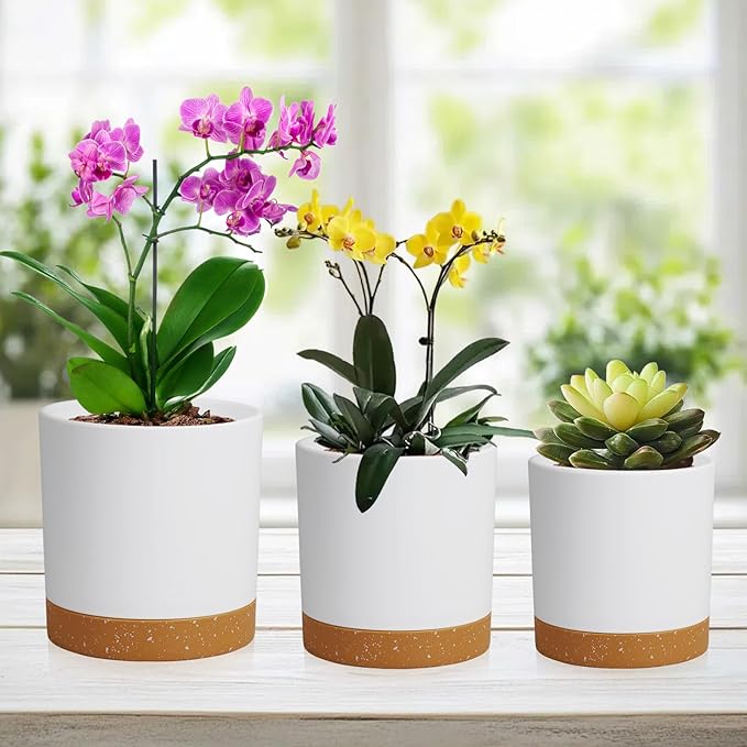 WSMKSZ 3 Pack 6/5/4 inch Cylindrical Flower Pots, Modern Small Round Plastic Plant Pots with Drainage Holes & Saucers, Clean and Refined Planter Pots for Outdoor, Indoor & Office Decor (White Brown)