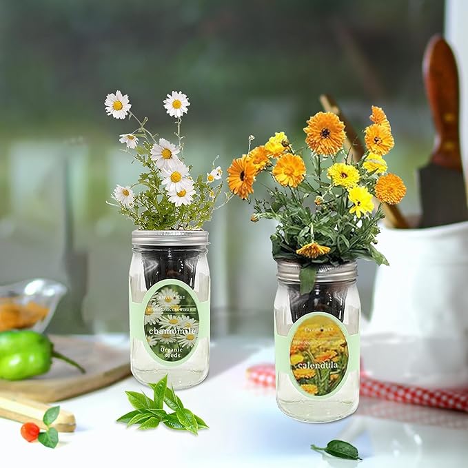 2-Pack Hydroponic Mason Jar Herb Garden Kit, Indoor Herb Garden Self-Watering Starter Kit, New Christmas Gift for Mom (Calendula,Chamomile)