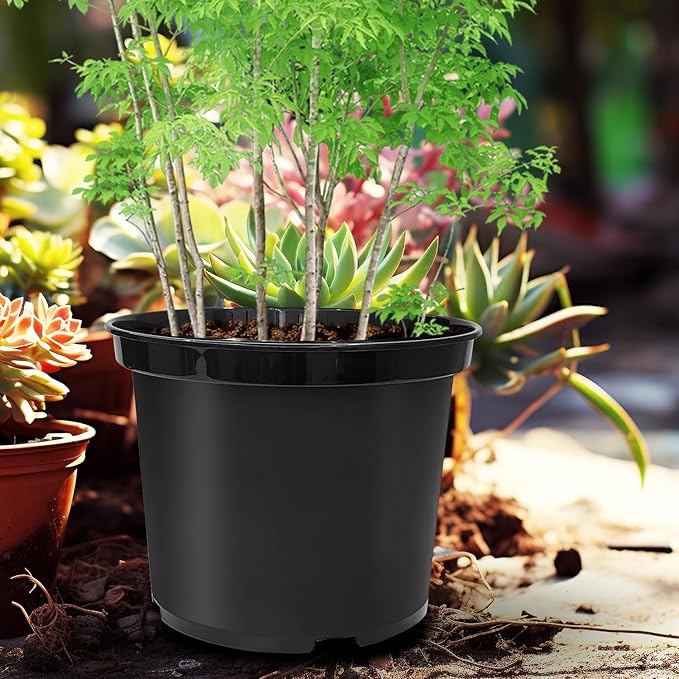 RooTrimmer 5 Gallon 12 Inch Plastic Nursery Pots, Plant Containers with Drainage Holes, Round Sturdy Garden Planters for Indoor/Outdoor Greenery, Gardening Gifts for Women (5-Pack, Black)