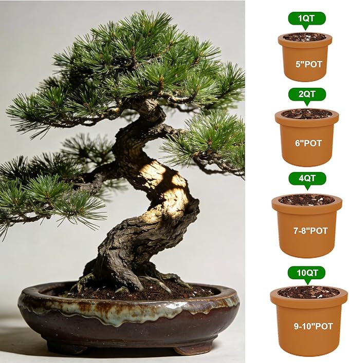 Premium Bonsai Soil Mix for Pine Trees 4qt,Breathable and Drainage Formula| Ideal for Bonsai Pots and Repotting