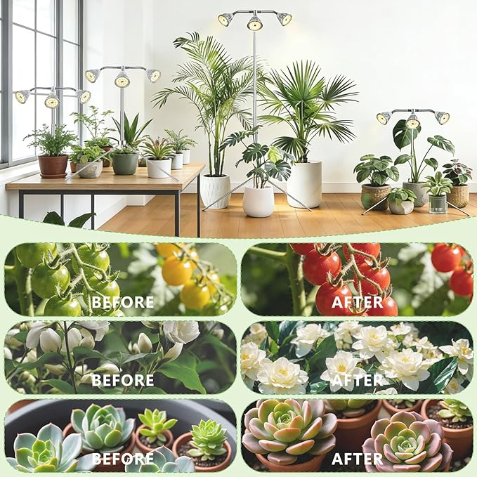 Full Spectrum Grow Lights for Indoor Plants, 3 Heads Aluminum Alloy Growing Lamps Covers More Plants, 15-62In Height Adjustable Plant Light with Detachable Tripod Stand, Auto On/Off Timer for Offices