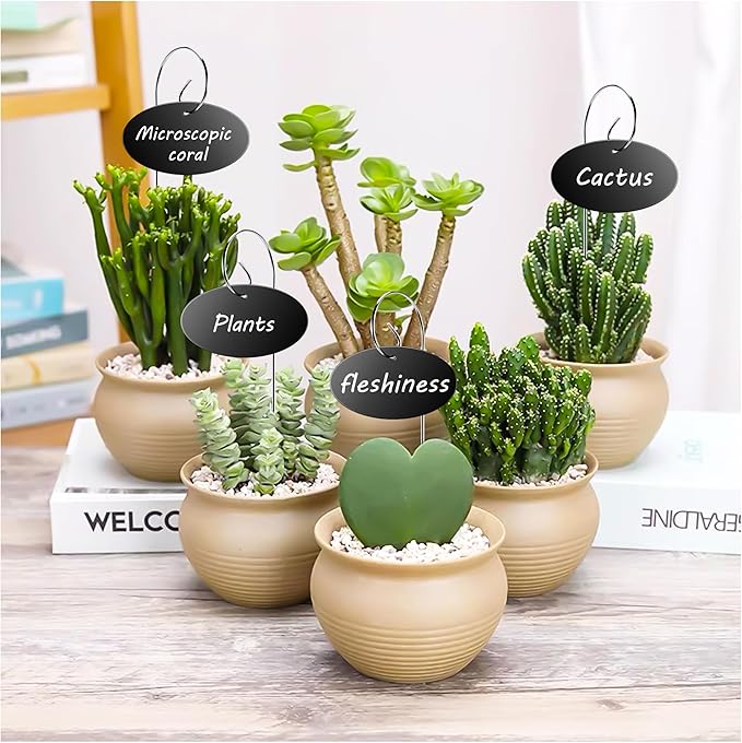 Vcekract Plant Labels, 50 Pcs Acrylic Garden Labels Stakes with a Pen, Plant Markers for Outdoor Waterproof, Garden Markers Sign Tags for Vegetable, Herb Seedlings Flowers
