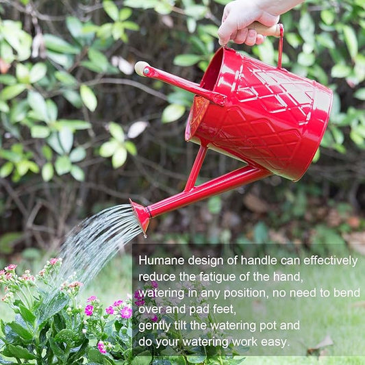 1 Gallon Watering Can, Red, Galvanized, Metal Watering Can with Removable Spout, Perfect Water Can for Indoor & Outdoor Plants