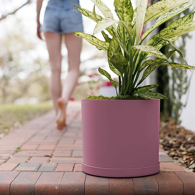 Bloem Mathers 12" Dusty Rose Round Modern Resin Garden Planter Pot with Drainage Holes and Removable Saucer Tray Included