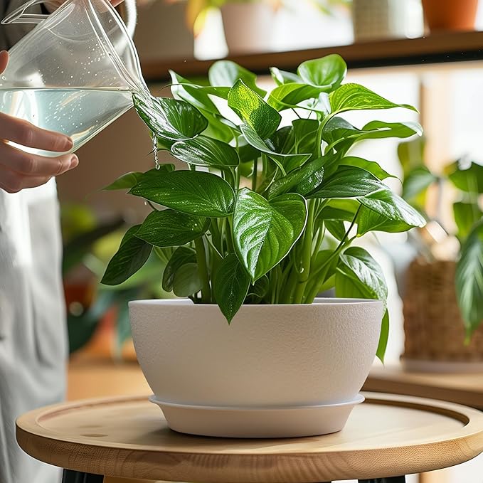 T4U 8 Inch Plant Pots 2 Pcs, Flower Pots for Plants, Plastic Planter Pots for Indoor Plants with Drainage Holes and Saucer (2 Pcs, 8", White)