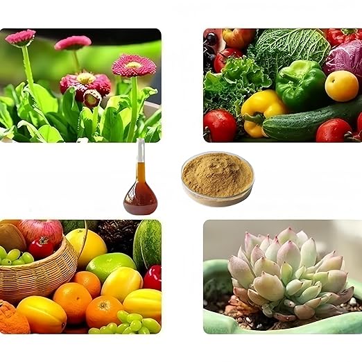 Chitosan Oligosaccharide,Agricultural Grade, Water-SolubleFertilizer, for Plants, Fruits and Vegetables (100g/3.5oz)