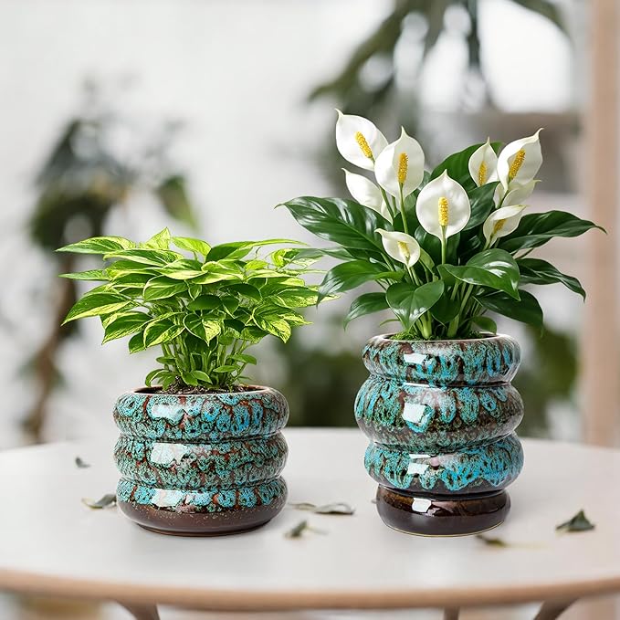 Ceramic 5 inch Plant Pot - Planter for Indoor Plants with Drainage Hole, Flower Pots for Orchid, Succulent,Outdoor Plants, Modern Glaze Planters for Home Office Decor Gift