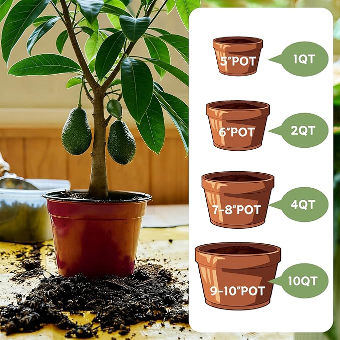 Avocado Soil 2qt, 100% Natural Organic Potting Soil for All-Stage Avocado Tree Growth