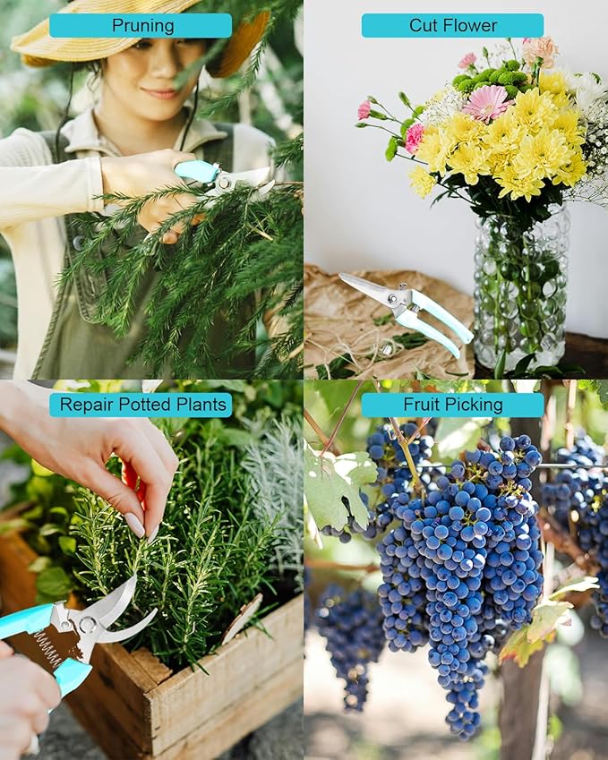 Garden Scissor for Plant, 12 Pcs Floral Scissors, Tip Pruning Shears Bulk for Cutting Flowers, Bonsai, Fruits and Trimming Plants(Blue)