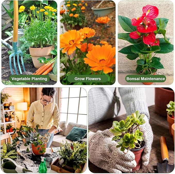 10 Pack Stackable Plant Support Stakes for Indoor Outdoor Plants, Pothos Plant Climber Support Structures with 2 Rolls Hook and Loop for Vine Training Stem Stabilization