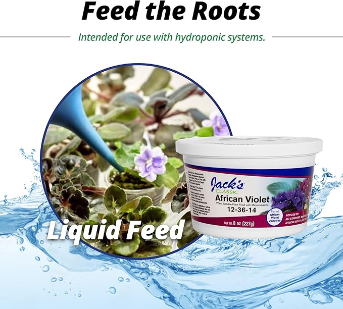 Jack's Classic 12-36-14 African Violet Water-Soluble Fertilizer with Micronutrients for Developing Strong Colorful Plants, 8oz