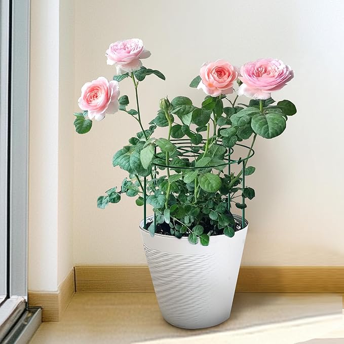 SYITCUN 8pack Peony Cages and Supports, 12 x 24 Inch Four Legs Peony Cage, Heavy-Duty Peonies Support Cages, Peony Ring for Roses, Hydrangeas, Sage, Peonies, Cucumbers, Tomato
