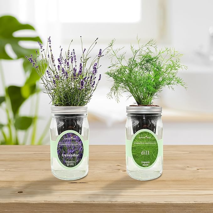 2-Pack Hydroponic Mason Jar Herb Garden Kit, Indoor Herb Garden Self-Watering Starter Kit, New Christmas Gift for Mom (Lavender,Rosemary)