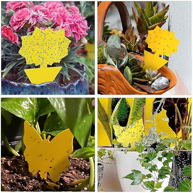 58 Pack Flying Insect Traps for Plants – Yellow Sticky Traps for Gnat, Fly & Flying Bug, Indoor Outdoor Flying Bug Catcher for Pots, Garden & Kitchen, Kid & Pet Safe, Non-Toxic (58 Pcs Classic)