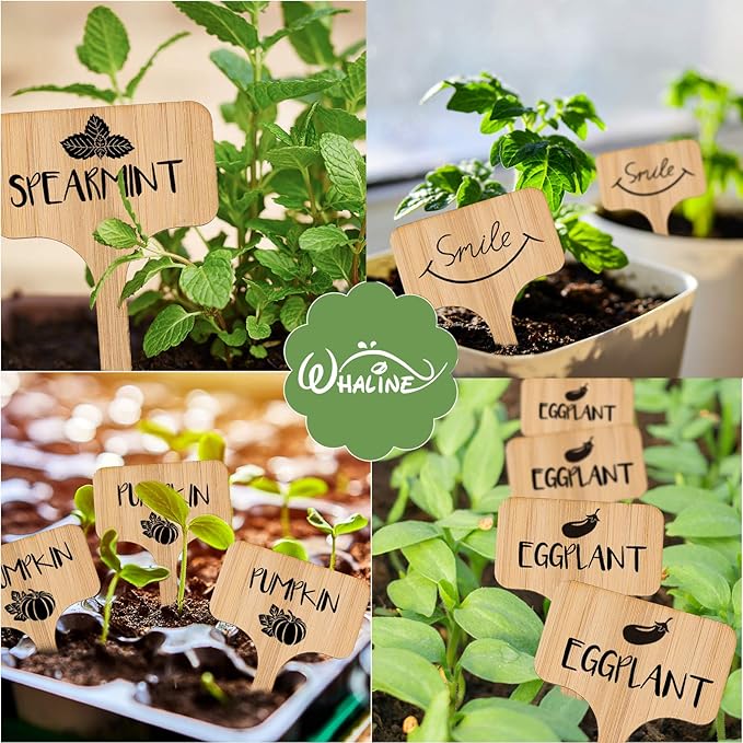 Whaline 50Pcs Bamboo Plant Labels with A Marker Pen, T-Type Wooden Plant Sign Tags Garden Markers for Seed Potted Herbs Flowers Vegetables(6 x 10 cm)