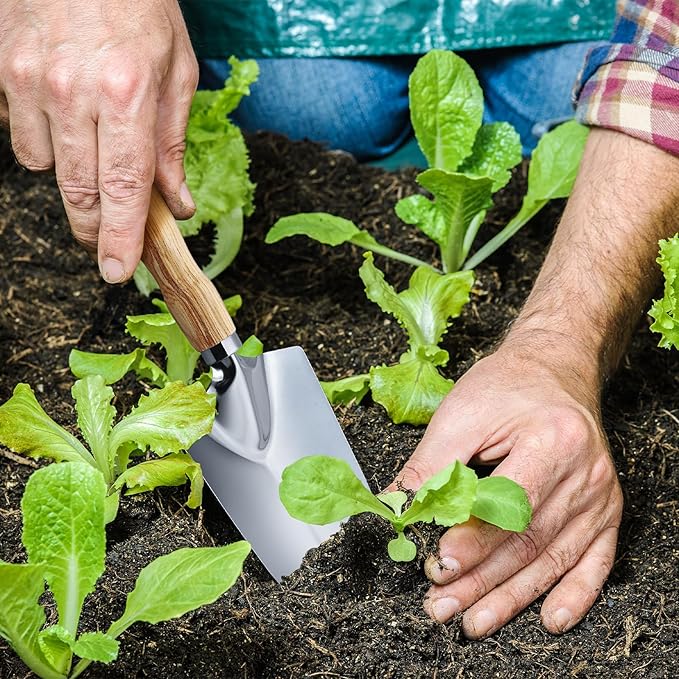 Hand Shovel for Gardening,Garden Shovel Hand,Trowel Garden Tool,Garden trowels Hand Tool,Garden Hand Shovel,Garden Shovels for Planting,Small Shovels for Gardening,Hand Shovel (Silver-8)