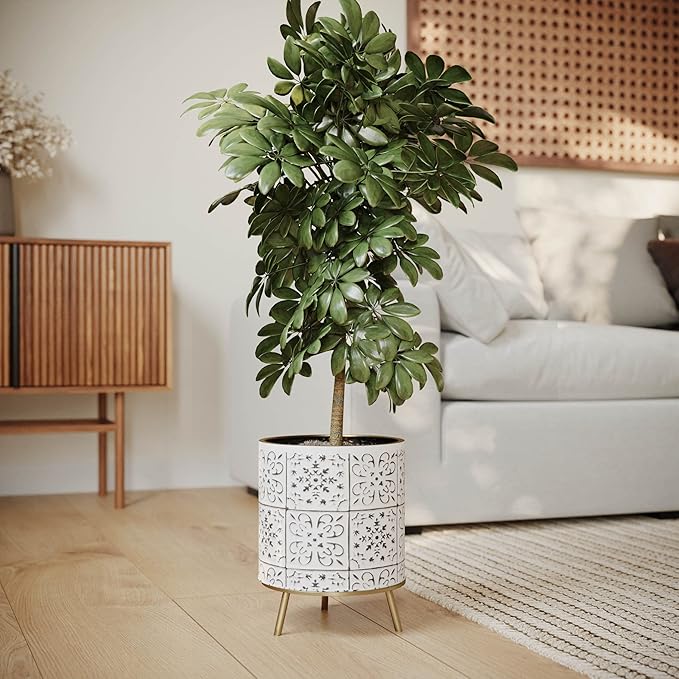 EverNest Tristan Neutral Minimal White and Black Modern Style Planter with Nyra Stand, SelectBase Plant Pots, Indoor Planter, Boho Home Decor, Minimalist Pot for Plants (Medium, Gold)