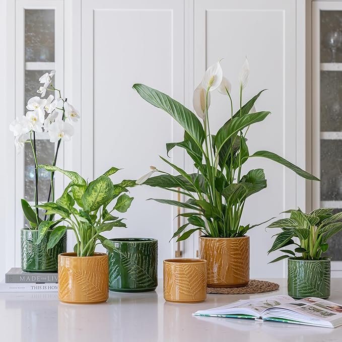 Ivyline Plant Pot Planter, Ceramic, Green, Large