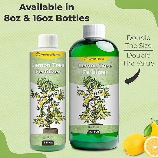 Liquid Lemon Tree Fertilizer by Perfect Plants | Citrus Plant Food for Fast Growth and Happy Live Lemon Trees | 6-3-3 Formula Rich in Nitrogen and Other micronutrients (8oz)