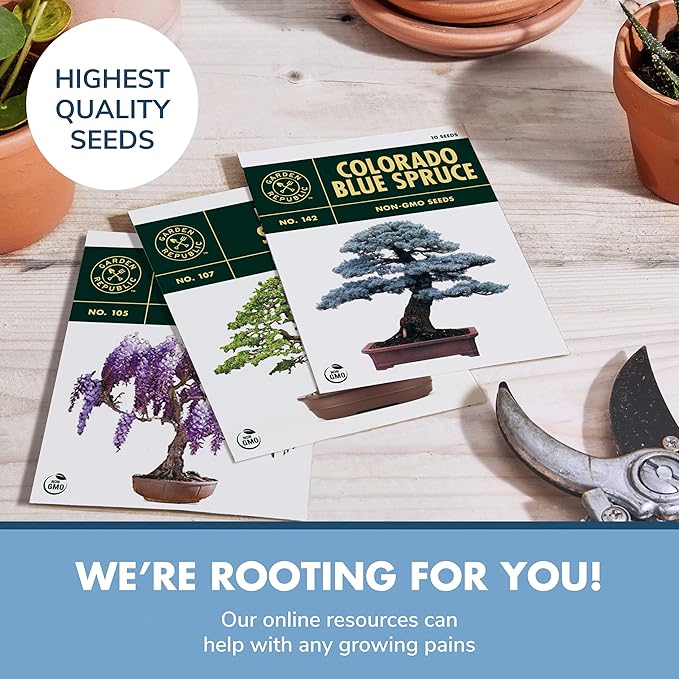 Garden Republic Bonsai Tree Kit - Mini Bonsai Seeds, 3 Types with Stylish Stone Pots, Pruning Shears Tool, Plant Markers, Wood Gift Box, and Potting Soil