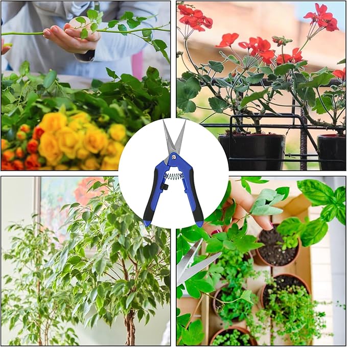 15 Pack 6.5 Inch Garden Pruning Scissors, Hand Pruner with Stainless Steel Blades, Sharp Point Gardening Shears Cutter, Gardening Pruning Shear, Supplies & Accessories(Blue)
