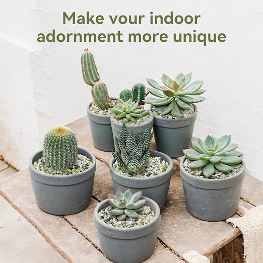 Pulovin 2.5LB Succulent and Cactus Pebbles, 1/5 Inch Jade Pebbles for Indoor Plants, Decorative Gravel for Vases, Bamboo, Succulent, Terrarium, Crafts, Cactus