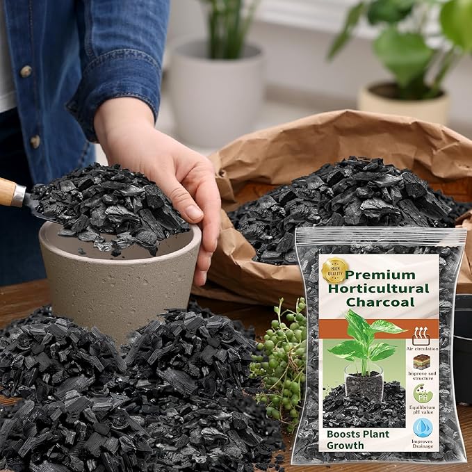 Horticultural Charcoal for Plants,1QT Premium Activated Charcoal for Indoor and Outdoor Plants,Ideal for Soil Amendment, Orchids,Succulent,Cactus, Terrariums & Gardening