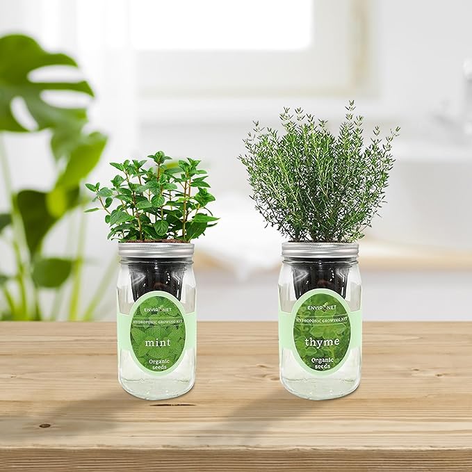 2-Pack Hydroponic Mason Jar Herb Garden Kit, Indoor Herb Garden Self-Watering Starter Kit, New Christmas Gift for Mom (Mint,Thyme)