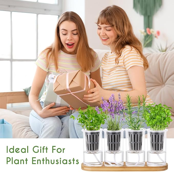 Teenyyou 8 Pcs Hydroponic Herb Planter Growing Kit Self Watering Glass Vase with Wooden Stand Herb Garden Starter Kit for Propagating Hydroponic Plants Centerpiece Office Home Garden Decor