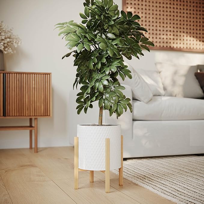 EverNest Claire Minimalist White Plant Pot with Kinsley Wood Stand, Indoor Mid-Century Planter, SelectBase, Modern Plant Holder, Boho Style Home Décor Pots (Medium, 2 Gallon)
