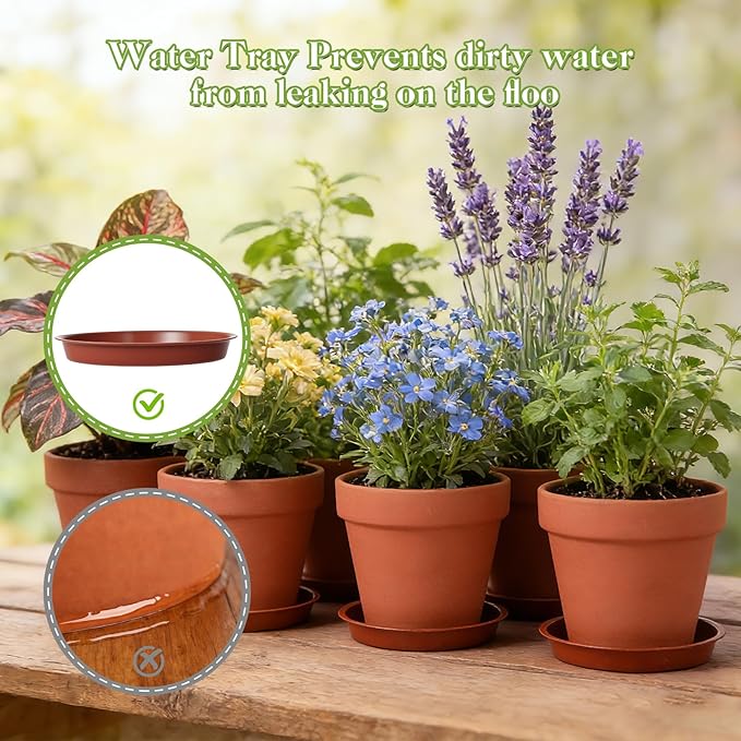 KOAMLY 6 PCS Clay pots and Plates, 5-inch red Clay pots with Drainage, Perfect for Indoor, windowsill, and Garden Plants