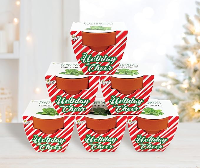 BUZZY Seeds Holiday Candy Cane Mini Terracotta Grow Pots, 6-Pack Peppermint Seeds, Indoor Plant Starter Kit, Stocking Stuffers, Party Favors