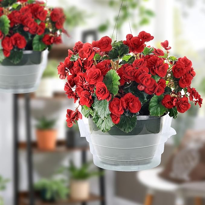 Miuwauer 15 Pack of 12-inch Hanging Basket Water Catcher Plastic Hanging Plant Drip Pan Tray Plastic Saucers Liners for Indoor Outdoor Hanging Plants Baskets Flower Pots - Clear, Round