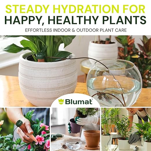 Blumat Classic Self-Watering Stakes - Prevents Overwatering and Underwatering for Healthy Growth While You are Away - Ideal for Indoor Plant Watering, 3 Pack, w Adapter