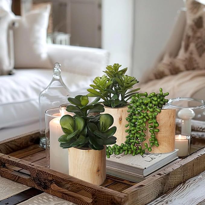 Artificial Succulents with Pots - Set of 3 Small Fake Plants for Aesthetic Room Decor - Realistic Mini Faux Greenery for Office Desk, Bookshelf, and Bathroom - Modern Home Accents