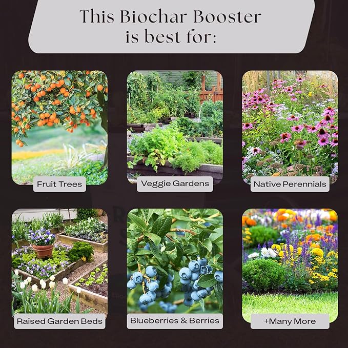 Rosy Soil Biochar Booster - Biochar Soil Amendment for Flowers and Vegetable Gardens - Horticultural Charcoal for Outdoor and Indoor Plants - Biochar Supplement for Potting Soil & Potting Mixes - 8qt