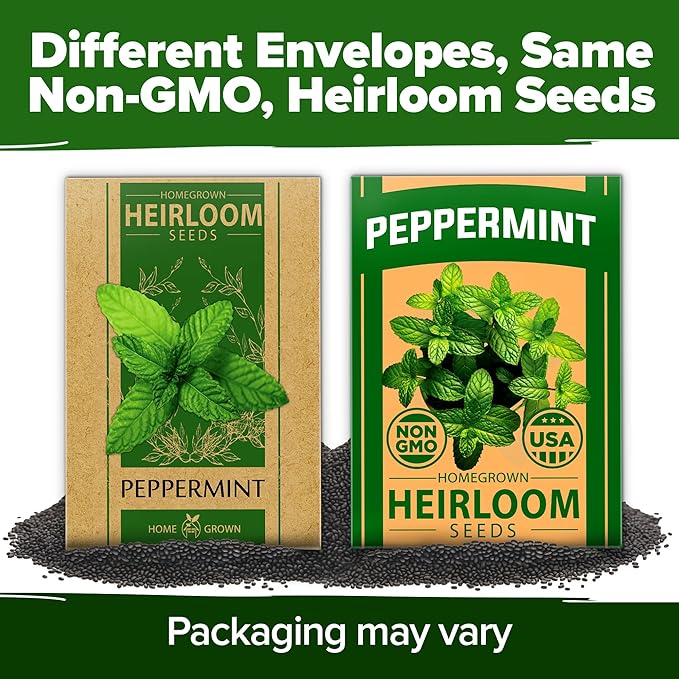 HOME GROWN Peppermint Seeds 2 Pack (Mentha x piperita) 4,740 Heirloom Mint Seeds for Planting Grow Indoors or Outdoors, Kitchen Herb Garden Favorite