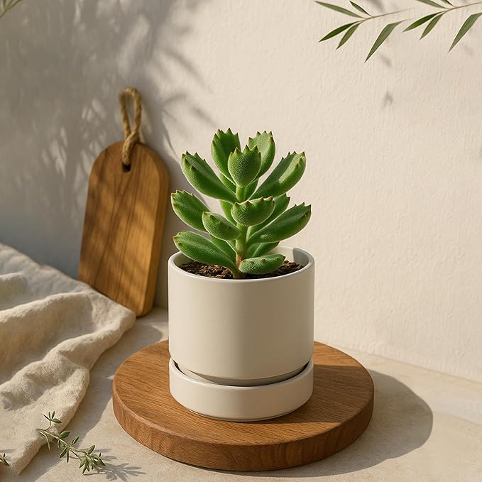 Phoenix Vine 4 Inch Planter Pot with Drainage Hole & Saucer, Deep Water Catch Tray, Straight Cylindrical Round Pot for Plants, Oatmeal, Pack of 2, 23-E-R-2