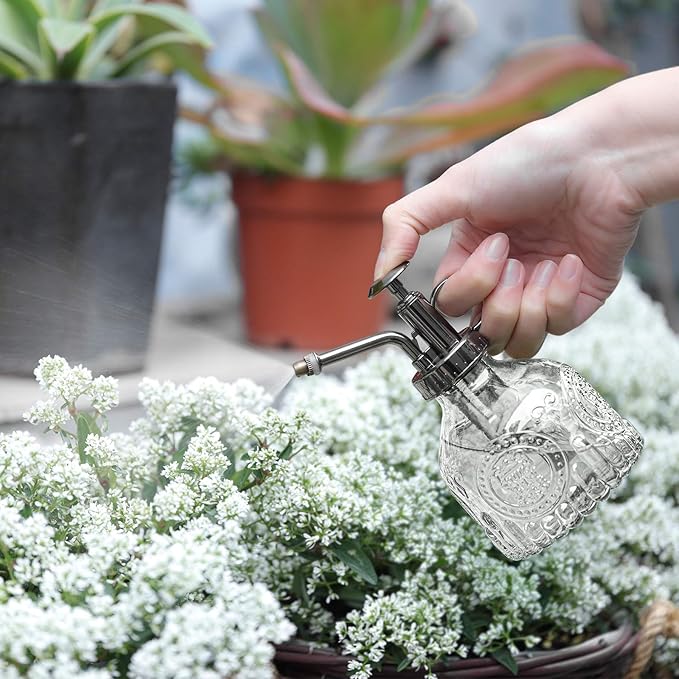 T4U Glass Plant Mister 200ML, Vintage Spray Bottle with Top Pump Fine Mist Garden Flower Sprayer Small Decorative Spritzer Watering Can Gift for Indoor Outdoor Succulent House Plant (Clear)