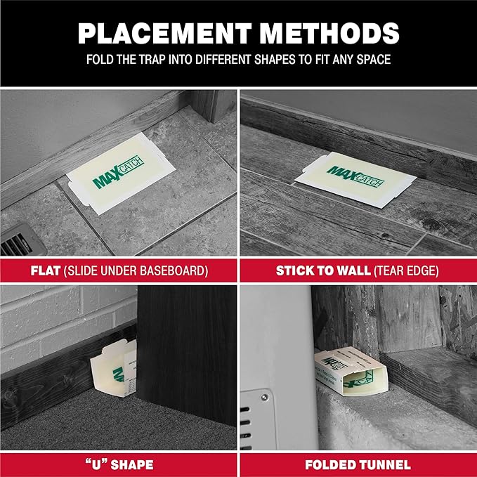 Catchmaster Max-Catch Mouse & Insect Glue Trap 36pk, Mouse Traps Indoor for Home, Sticky Pest Control Adhesive Tray for Catching Bugs, Bulk Classic Glue Boards