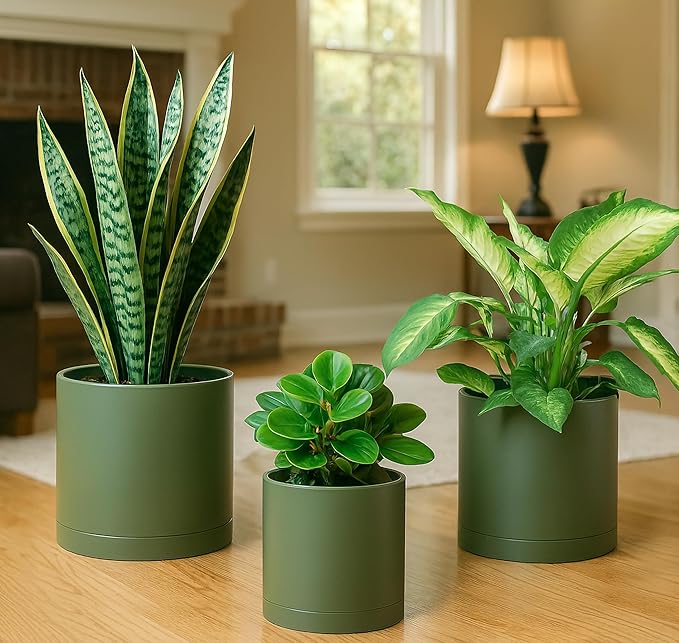 D'vine Dev 6 Inch 6.5 Inch 8 Inch, Set of 3 Plastic Planter Pots for Plants with Drainage Hole and Seamless Saucers, Olive, Medium, 74-V-I-3