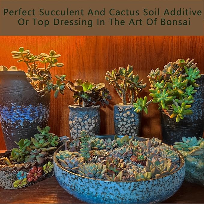 Mix Horticultural 5lbs Lava Rocks Mixed Potting Soil for Plants Bonsai Succulents and Cacti Soil Decoration Gravel Volcanic Pumice Stones for Terrarium, Top Dressing, Fairy Gardening